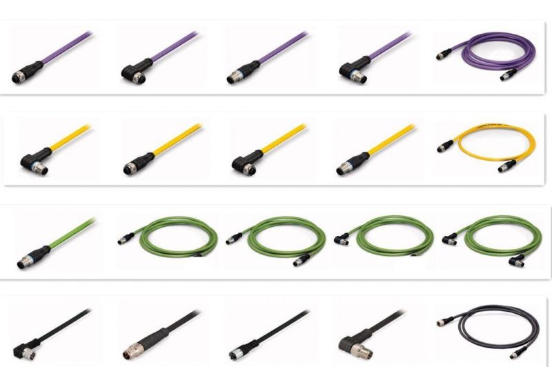 Custom OEM & ODM Over Molding M12 System Bus Cable Straight & Right Angle with PUR Cable, Color Purple, Length 2m