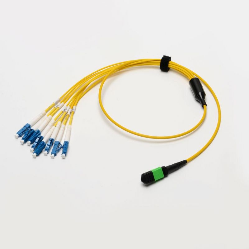 8 Core Fan-out Type Fiber Optical MPO-LC Patchcord