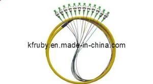 Bundle Pigtail China Manufacture