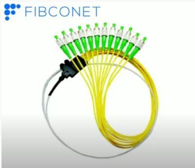 FTTH Fiber Optic Ribbon Cable Patch Cord 2PCS 12 Core Optical Fiber Pigtail