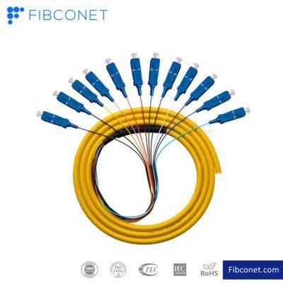 FTTH Sc Upc 12core Fiber Optic Patchcord/Pigtail Multicore Bundle Distribution Pigtail