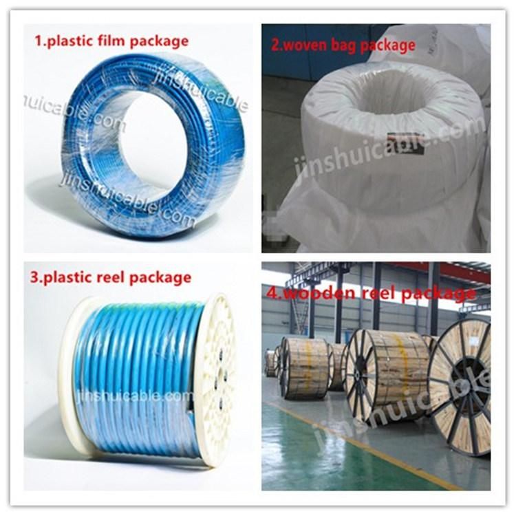 60227 300/500V 450/750V IEC Ce PVC Insulated Copper Electric Wire