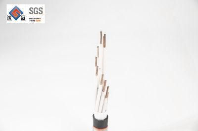 Shenguan Wire Cable GOST Avbbshv 4X50 70 95 120 Al Conductor PVC/XLPE Insulation Steel Tape Armor Fr-PVC Sheath Power Cable