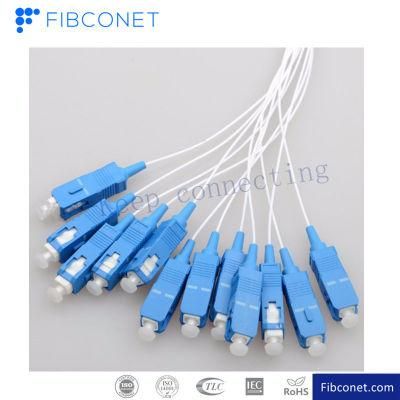 FTTH 12 Core Color Sc Upc Fiber Optic Patch Cord/Jumper Fiber Pigtail