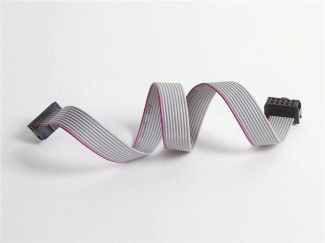 10-Pin IDC Ribbon Cable Length: 20cm