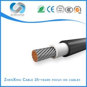 Double PVC Insulted Sheathed Aluminum Copper CCA Conductor Electric Cable Wire