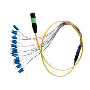 LC Fiber Optic Ribbon Pigtail (12 CORE)