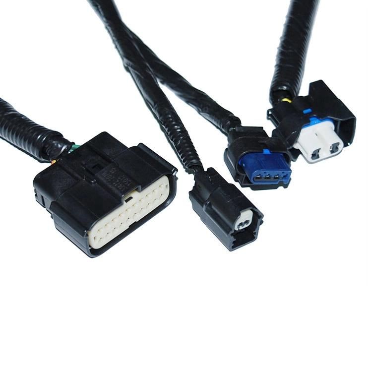 Auto Cable Assembly Wire Harness Wiring Assembly Wiring Looms