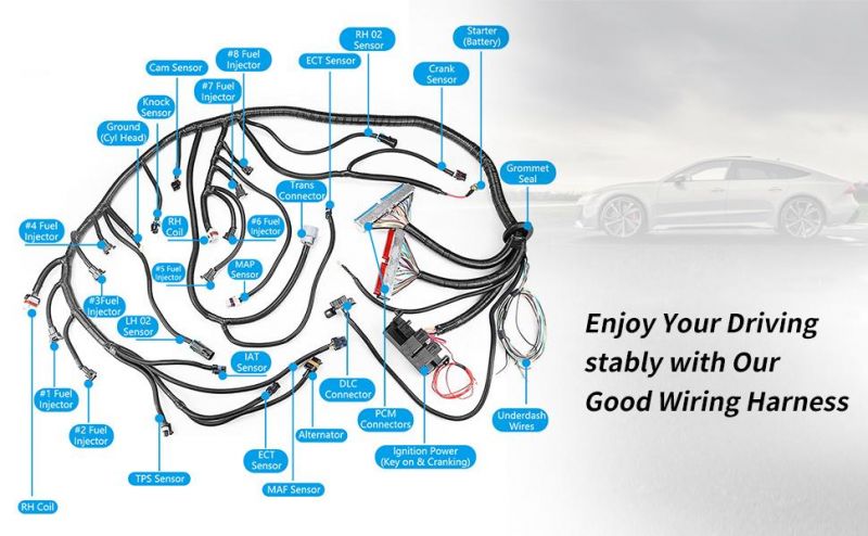 OEM Automotive Wiring Harnesses Cable Assemblies