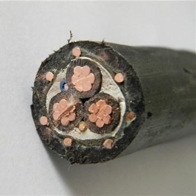 2X8AWG 2X10AWG 3X8AWG 3X6AWG Electric Copper Concentric Cable