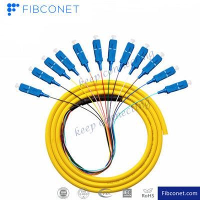 FTTH Single Mode 4 6 8 12 24 48 96 Core Distribution Sc/Upc Fan-out Bundle Fiber Optic Pigtail