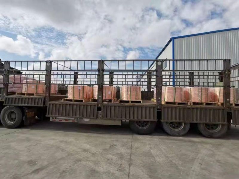 Copper Clad Steel Wire /Copper-Clad Aluminum/Ccaw/Copper Clad Aluminium Conductor /CCAM /Copper Coated Wire