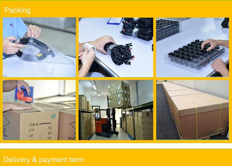 Advanced Driver Assistance Systems Adas Cable Assembly for Vehicle for Moblieye Eyewatch
