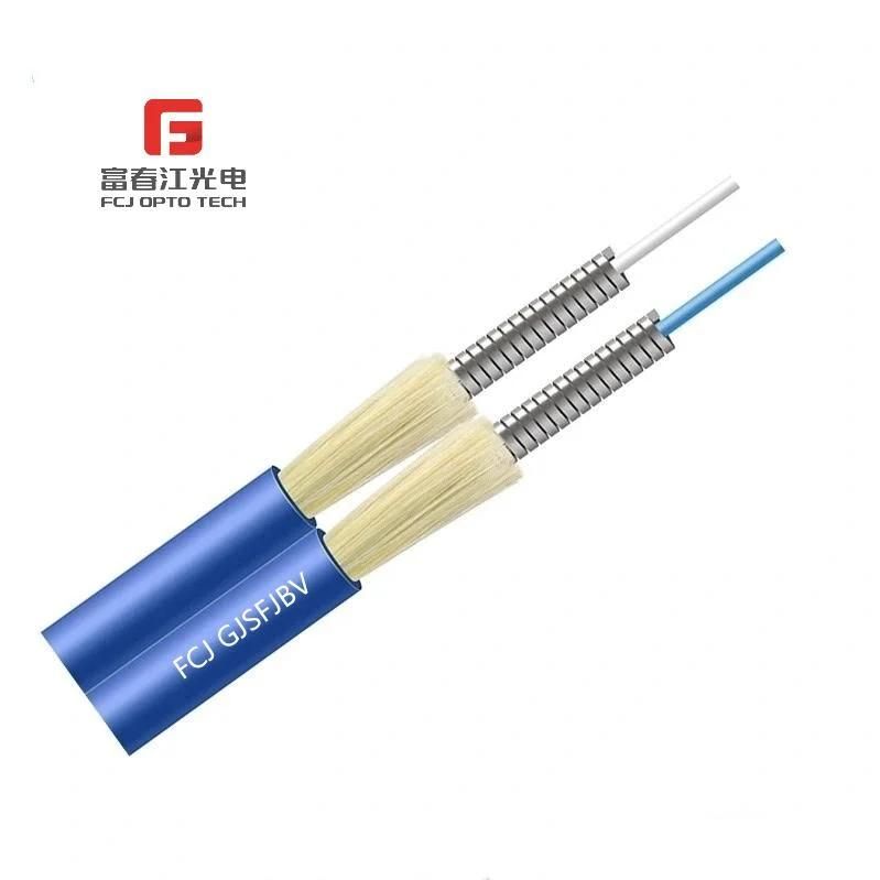 Multi Fiber Armored Optical Fiber Cable a Layer of Stainless Steel Wires Aramid Cable Gjsfjbv
