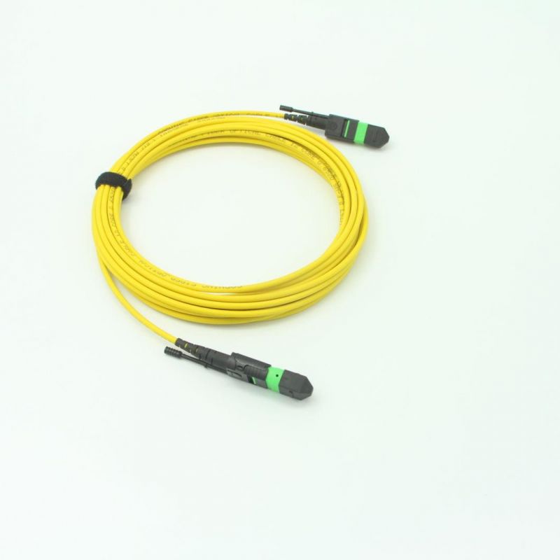 LC-MPO (Female) Om4 Fiber Optic Om4 12 Cores 2.0mm Fanout Pigtails with 5 Meters