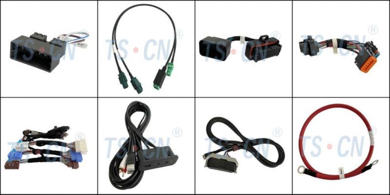 Tscn Automotive Female Connector Wiring Harness for Audi 1719057-1/1719058-1