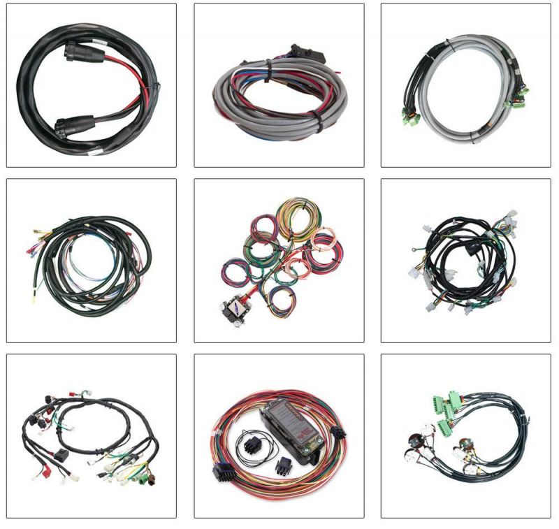 Customized Automotive Electronic Wire Harness for Power Cable Factory Supply