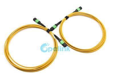 Factory Price High-Density MPO-MPO Trunk Fiber Optic Patch Cord with High Quality