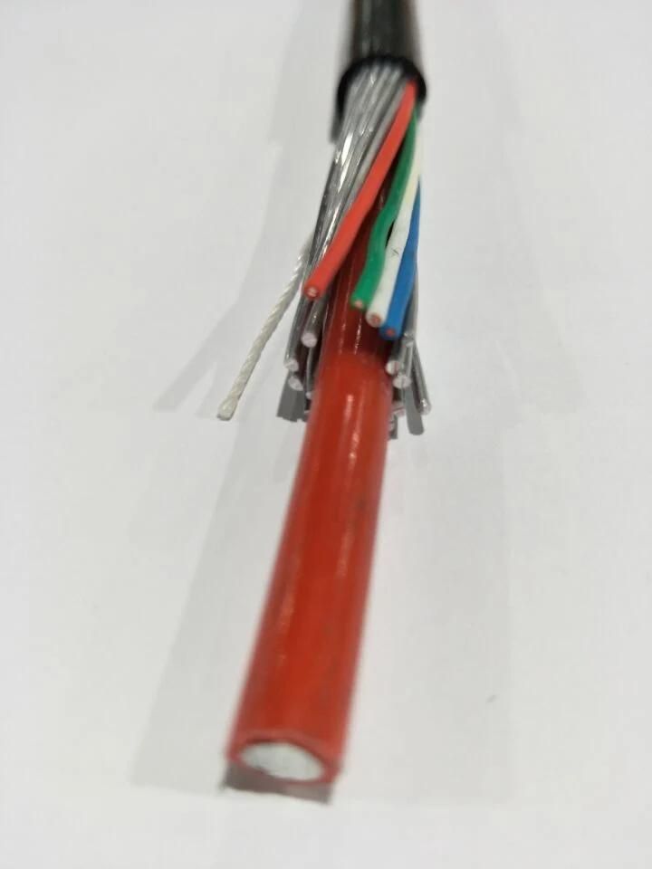 2X10mm2 Concentric Service Cable with Communication Cores
