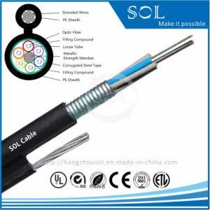 Outdoor Aerial Figure-8 Self-Supporting Plasitc Optical Fiber Cable (GYSTC8S)