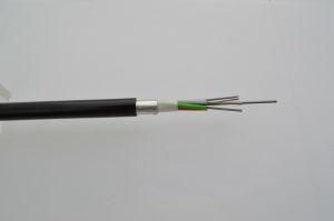 4-24 Core Sm GYTS/a Fiber Optic Aluminum Tape Armored Cable