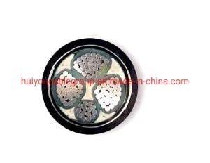 XLPE Insulation Heat Resistant Sta/XLPE/PVC Cu Core Low Voltage Power Cable