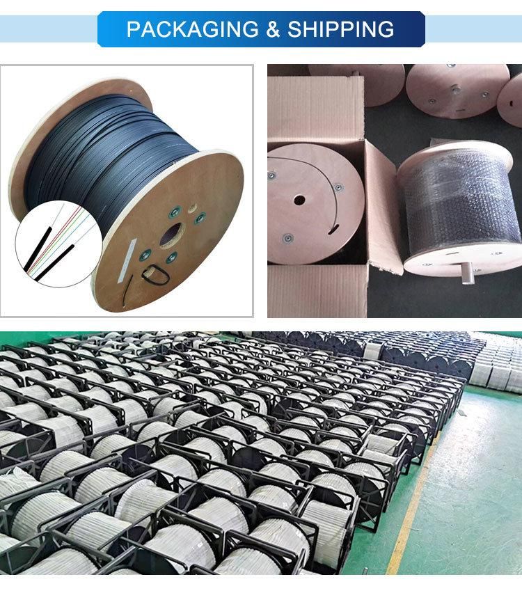 Arial Wire Drop Cable Fiber Optical Figure 8 Type 1, 2, 4 Cores Flat Drop Cable with FRP Messenger Reinforced by FRP Rods LSZH Jacket