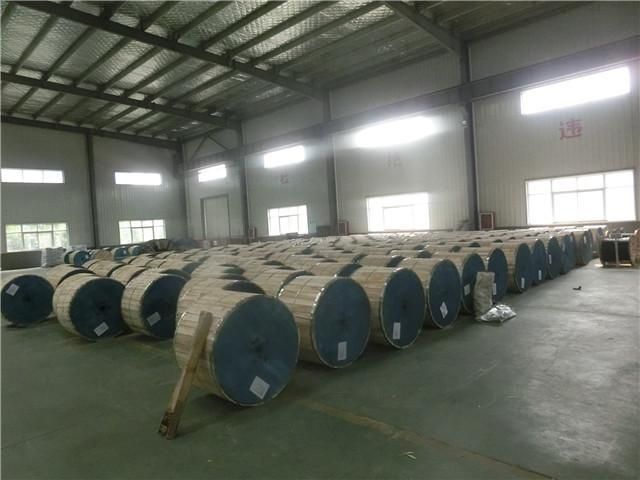 Solid Core Aluminum Wire Insulated Concentric Cable 10/16mm2