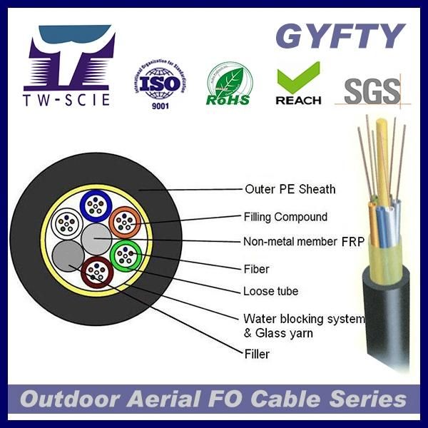 Factory 48 Core Non-Metalic Single Mode Fiber Optic Cable GYFTY