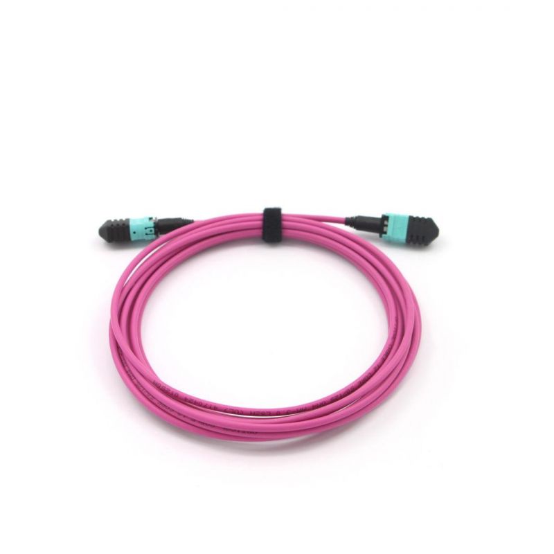 MPO (Female) -MPO (Female) Fiber Optical Patch Cord with Om5 Fiber Cable 10 Meter