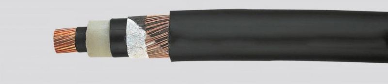 6/10kv, 12/20kv, 18/30kv XLPE Insulated Single Core Cu Conductor Longitudinally Water Tight PE Jacket N2xsf2y Power Cable