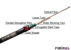 12 Fibers GYXTW Central Loose Tube Optical Cable with Parallel Wires