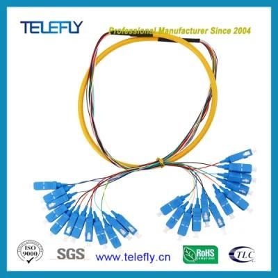 12fo Sc /Upc 0.9mm 1m Fiber Optic Patch Cord