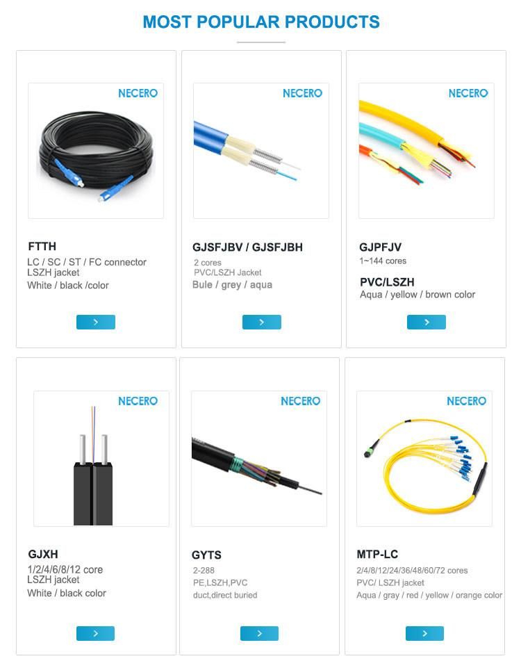 Upc/APC Sc/LC/FC/St/Mu/MTRJ/E2000 Simplex/Duplex 62.5/125 Singlemode Multimode Om1/Om2/Om3/Om4/Om5 2.0/3.0mm, 3meters Fiber Optic Patch Cord