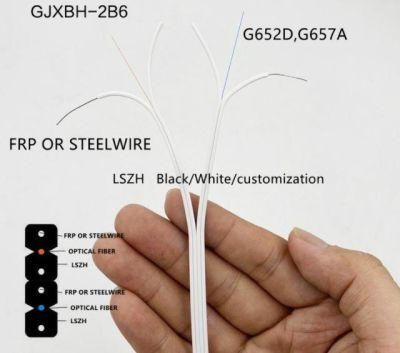 PSP Enhancing Moisture-Proof and Anti-Rodent Gjxh Optical Fiber Cable