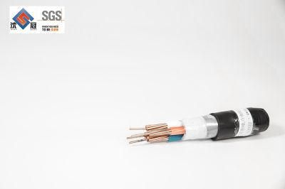 Shenguan Computer Cable Yjv Type Copper Conductor LV Power Cable for Power Transportation