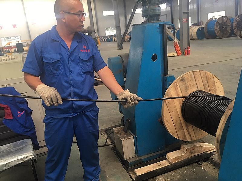 Henan Cable Factory 2X16mm2 ABC Cable 2 Core 16mm Aluminium XLPE Cable