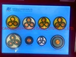 XLPE Insulated Thick Circle Steel Wire PVC Sheathed Mv Power Cable