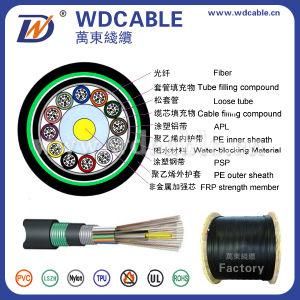 Outdoor Armored Fiber Optic Cable GYTA53