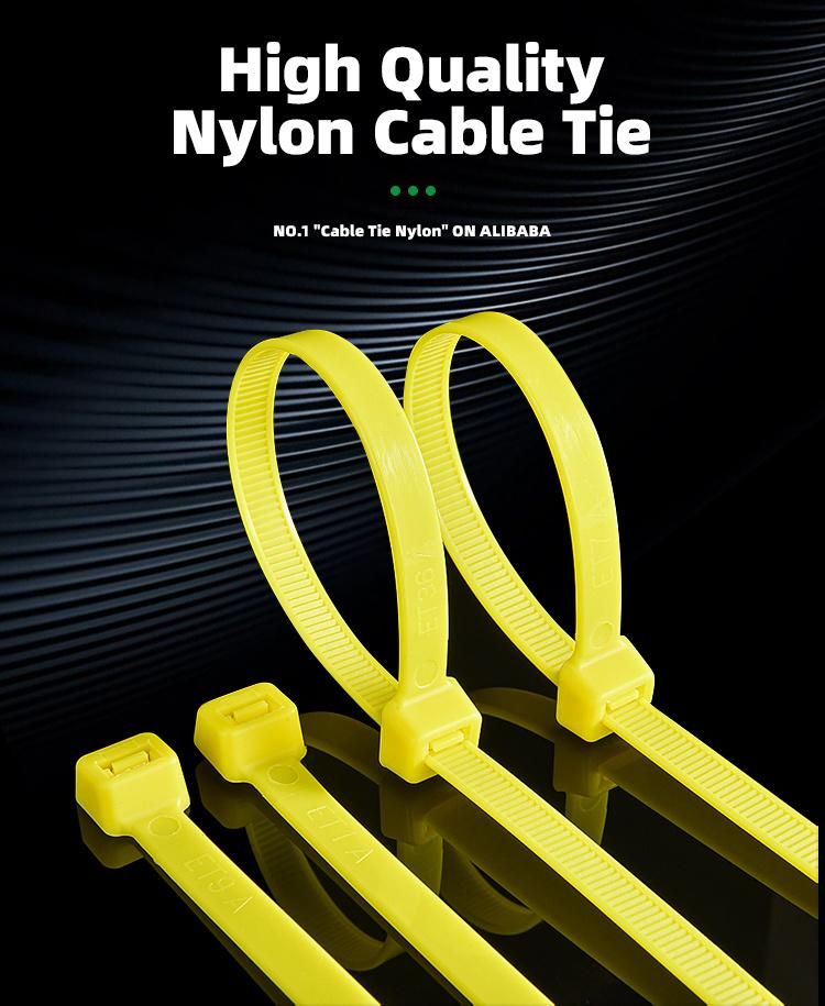 OEM Factory Nylon Electrical Plastic Selflocking Cable Ties