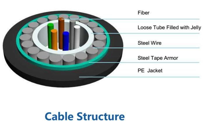 Fcj G652D Central Tube Optical Fiber Cable Steel Wires Armored Gyxts