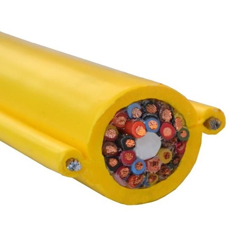 Pendant Cable with Dual Strain Relife Steel Wires S05vvd7-F for Overhead Crane Cable