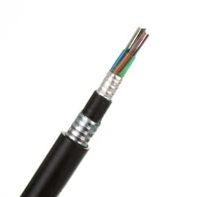 Hot Sales China Manufacturer Outdoor Fiber Cable Armored PE Loose Tube Fiber Optic Cable GYTY53 G652D/G657A1/G657A2 for Direct Buried Method