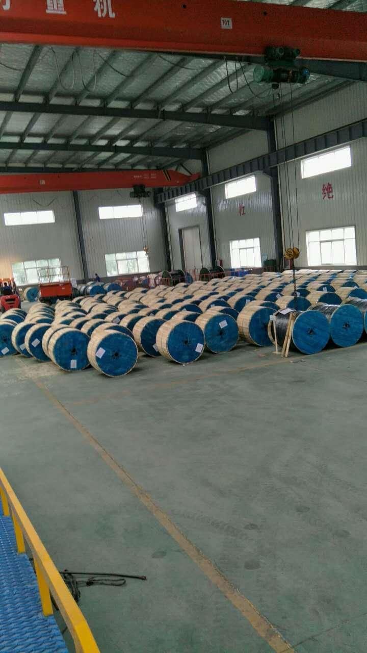 12 Kv Sac Single Core Cable Aluminum XLPE HDPE Cable