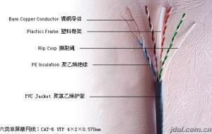 UTP Cat 6 Cable / Articulate