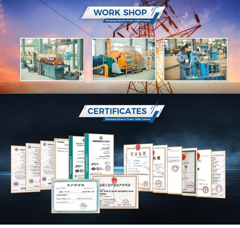 Shenguan Wire Cable China Manufacturer XLPE Cable Low-Voltage Power Supply Cable