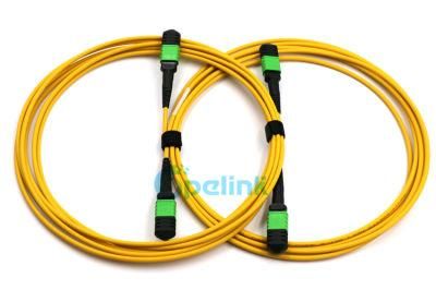 High Performance High-Density MPO-MPO Trunk Fiber Optic Patch Cable with Factory Price