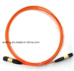 Multi-Mode MPO Fiber Optic Patch Cord (fiber ptic jumper)