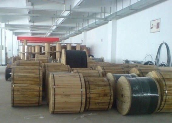 50/125, 62.5/125 4/8/12/24 Core Multimode Fiber Optic Cable GYTS