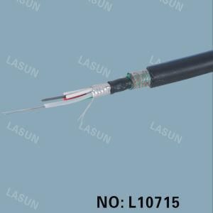 Outdoor Fiber Cable &amp; Fiber Optic Cable &amp; Fiber Cable (L10715)